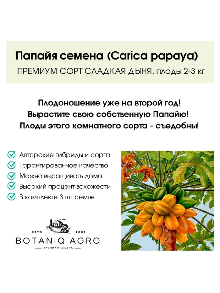 Семена Папайи Купить В Аптеке