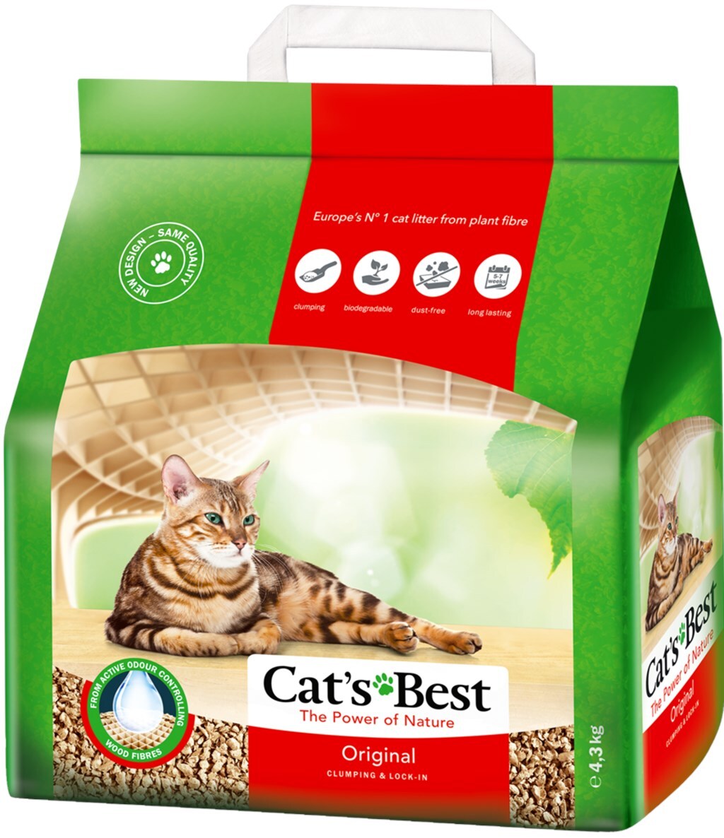 Cats best