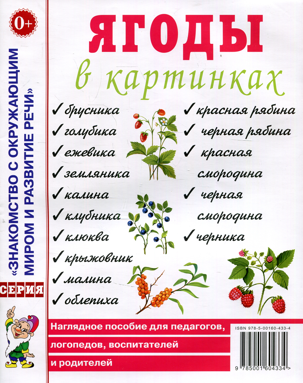 Ягоды в картинках. Наглядное пособие для педагогов, воспитателей,  логопедов, родителей - купить с доставкой по выгодным ценам в  интернет-магазине OZON (488023888)