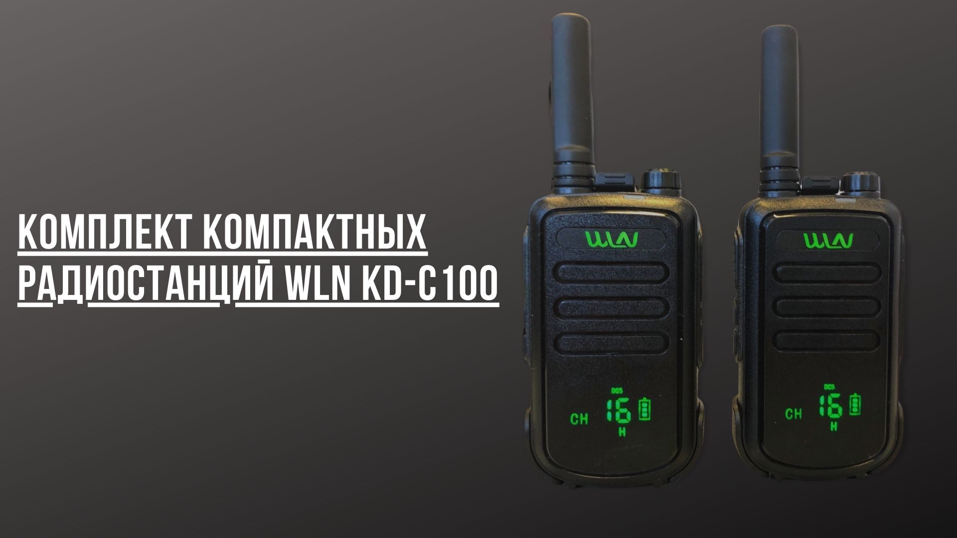 Текстовое описание изображения