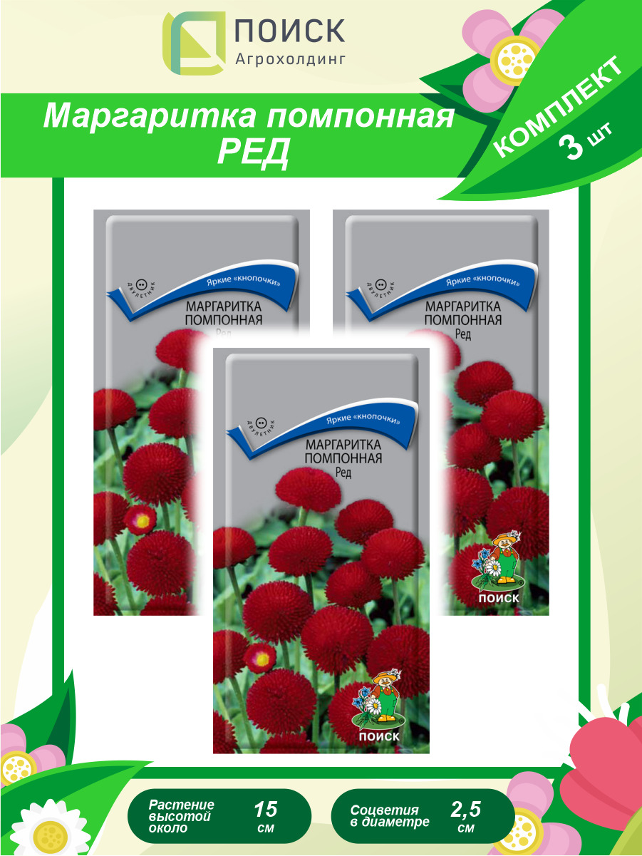 Маргаритки Семена Купить