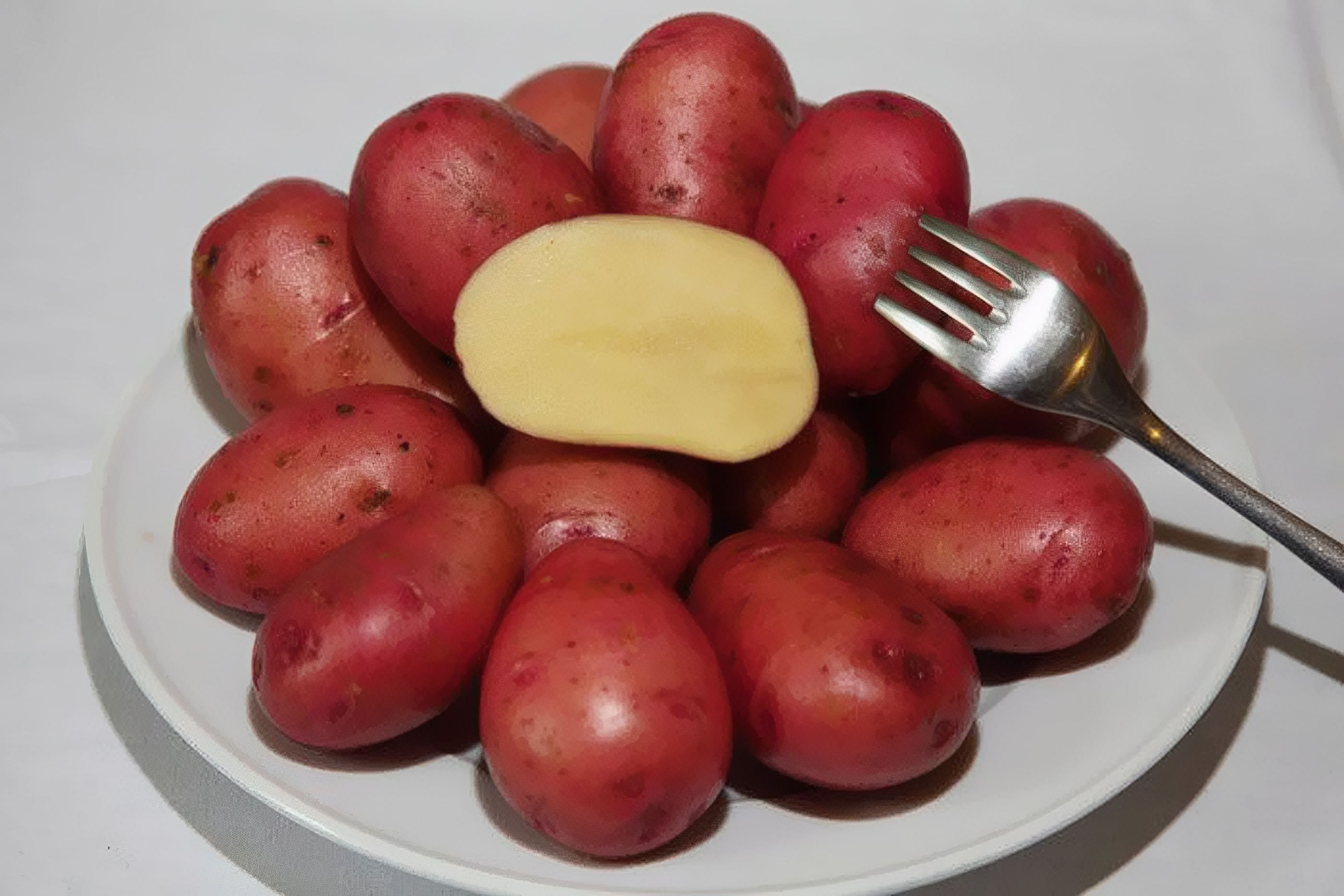 сорт картошки розара фото