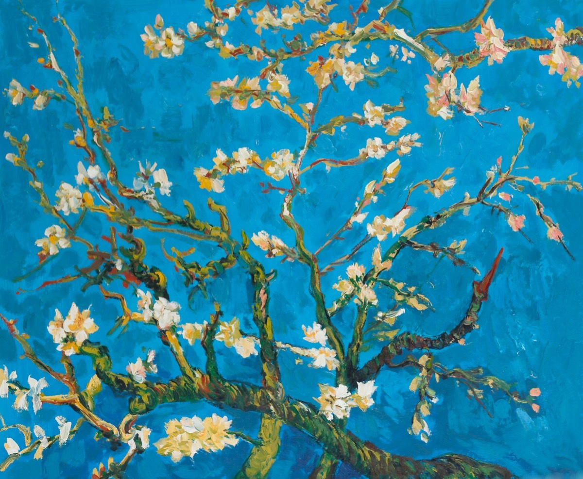 Картина миндаль. Винсент Ван Гог ветка миндаля. Винсент Ван Гог цветущие ветки миндаля 1890. Цветущий миндаль Ван Гога. Van Gogh цветущие ветки миндаля.