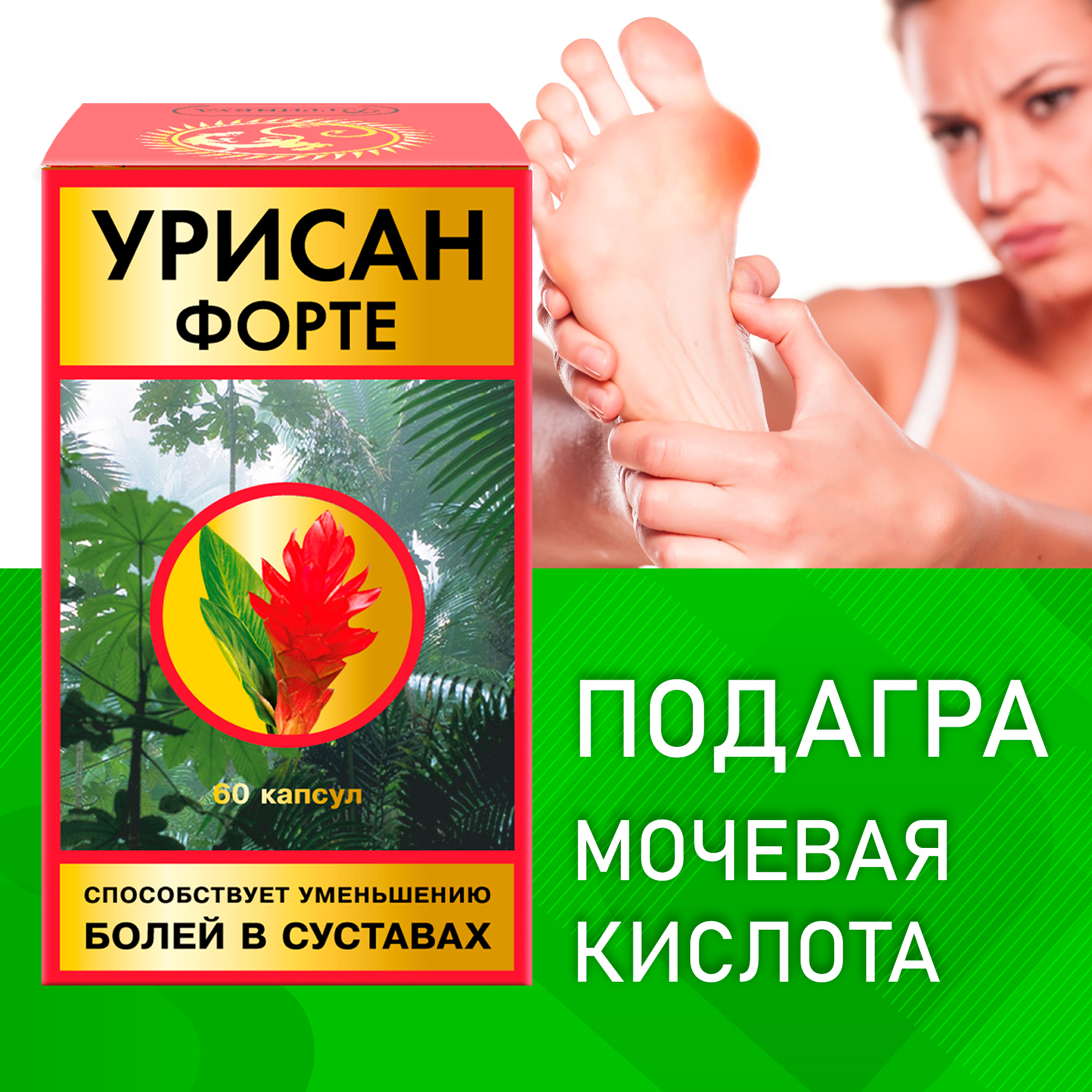 Хвощ Полевой, 210 мг, 100 Капсул, Bioherba