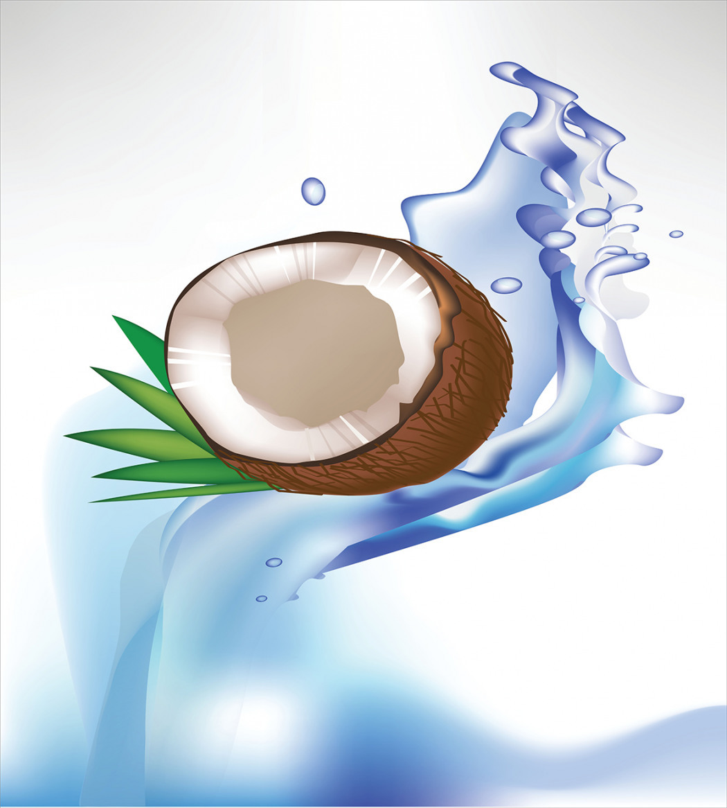 Coconut milk отзывы. Coconut Milk Genshin.