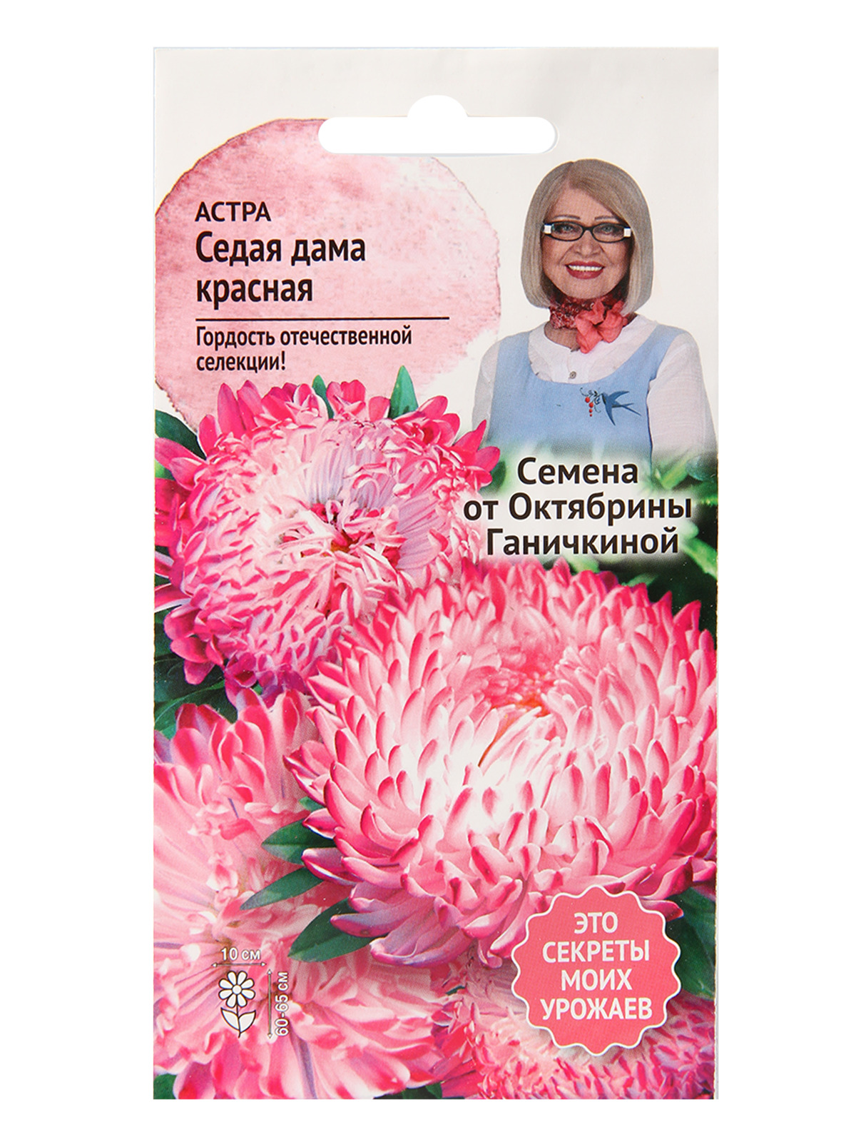 Астра Седая Дама