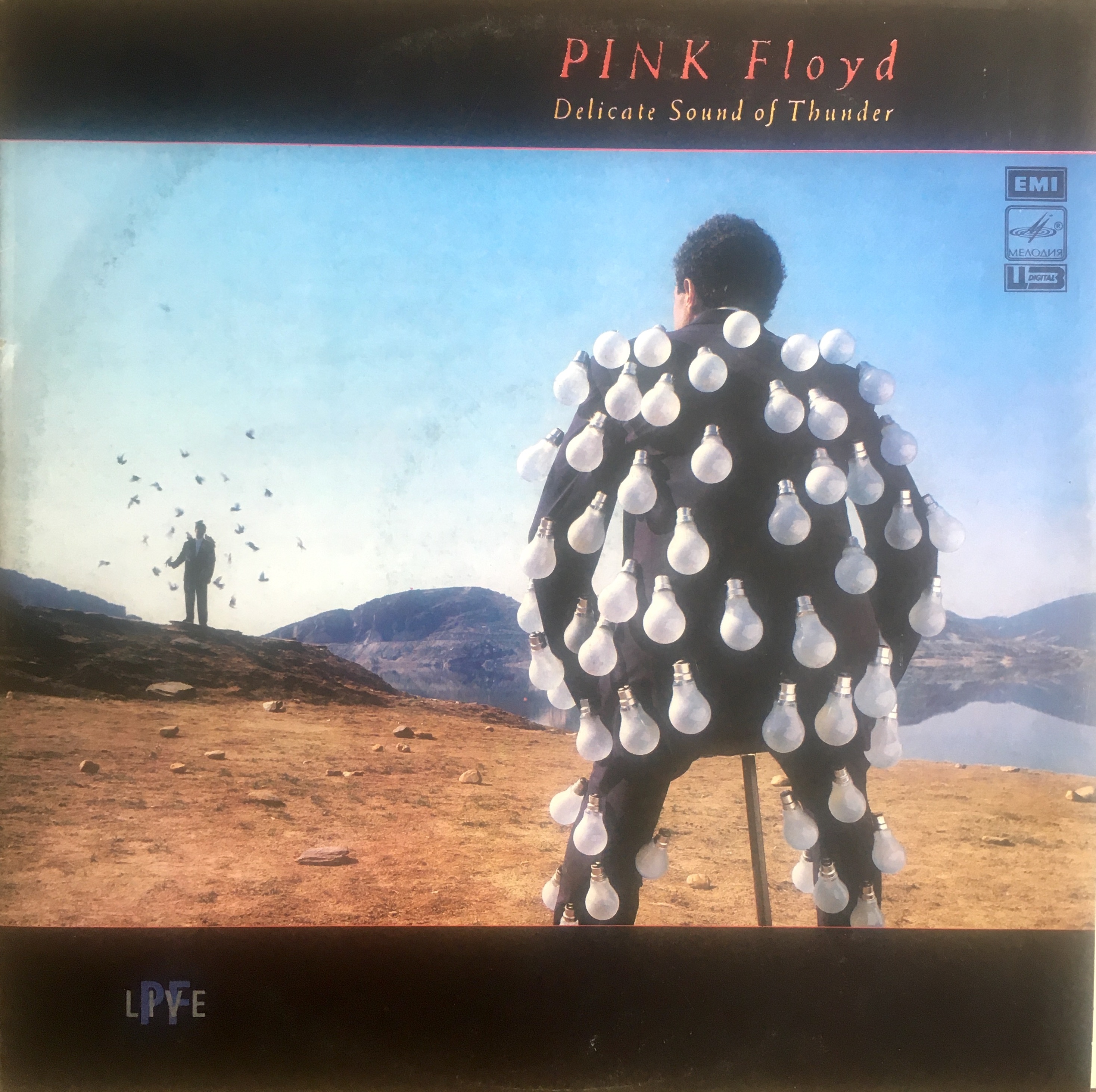 Pink Floyd / delicate Sound of Thunder (2lp)