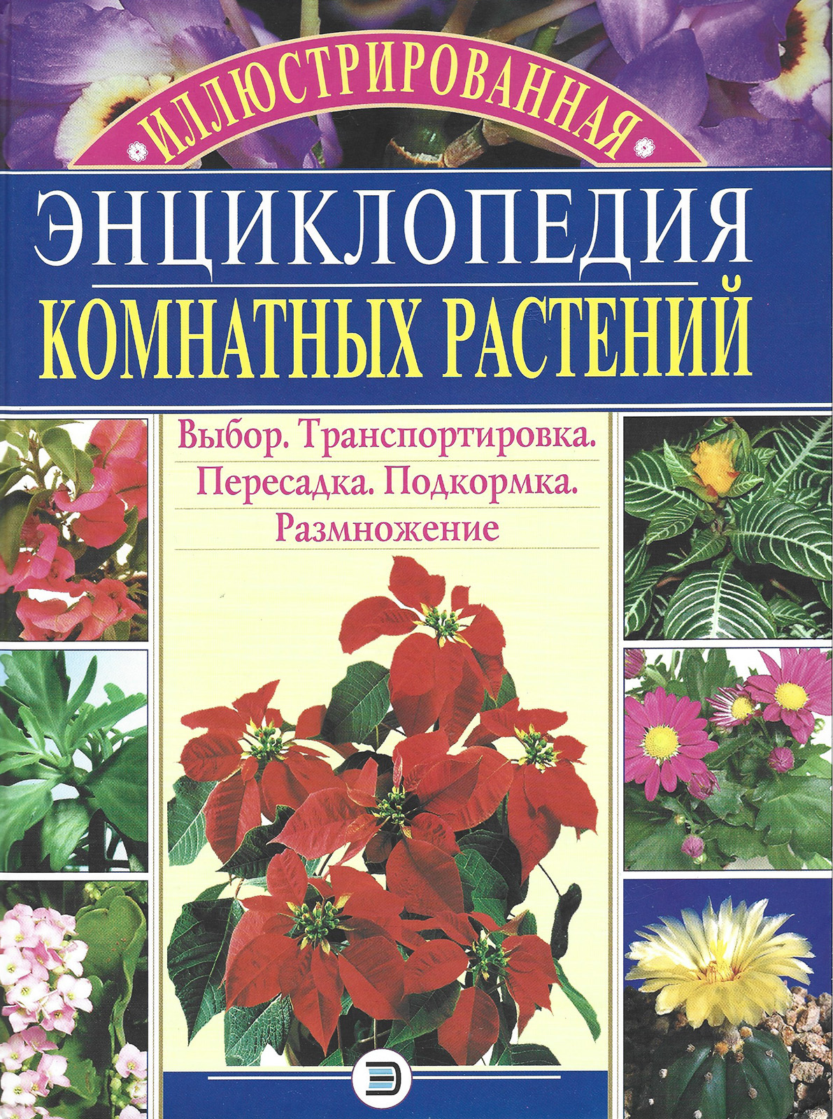 Цветы комнатные энциклопедия