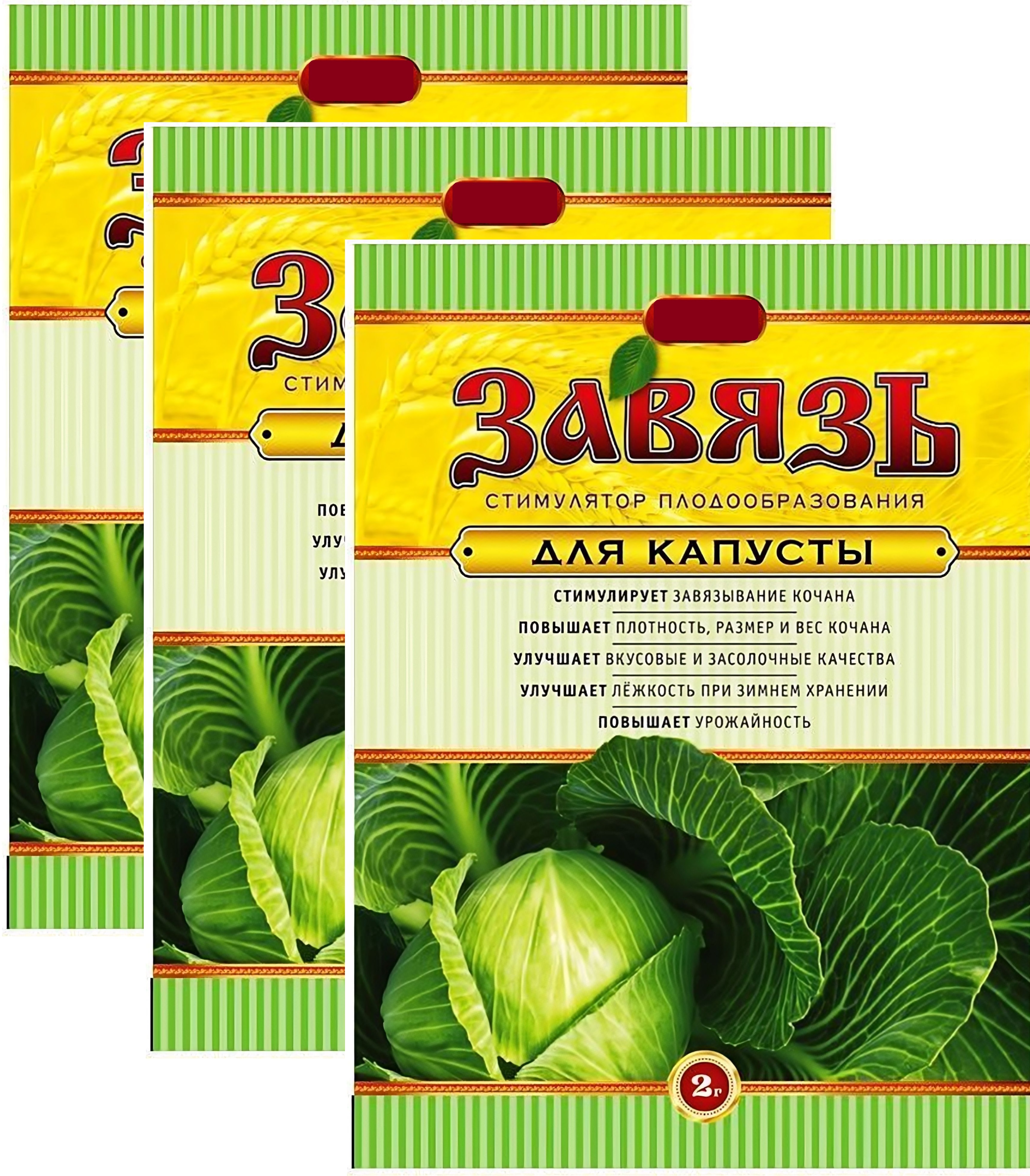 Капуста три богатыря описание сорта