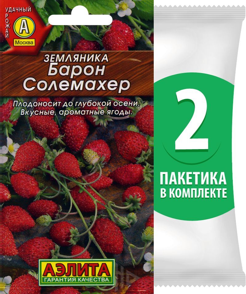 Сорт земляники барон солемахер. Земляника Барон Солемахер. Земляника ремонтантная Барон Солемахер. Земляника Барон Солемахер семена Алтая. Барон Салехард земляника.