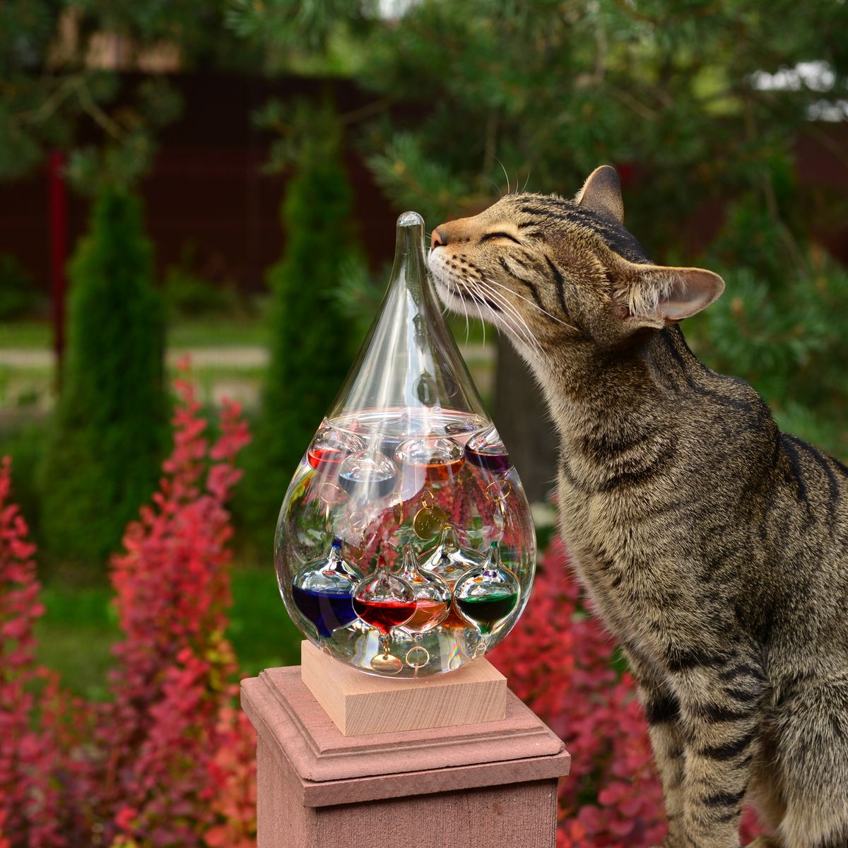 Термометр Галилео Галилей купить на OZON по низкой цене