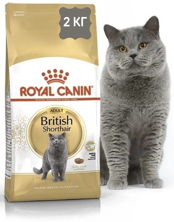 Сухой корм для британских кошек. Royal Canin Британская короткошерстная. Роял Канин Британская короткошерстная 400г. Роял Канин для котят британских короткошерстных. Роял Канин для британских кошек 2 кг.