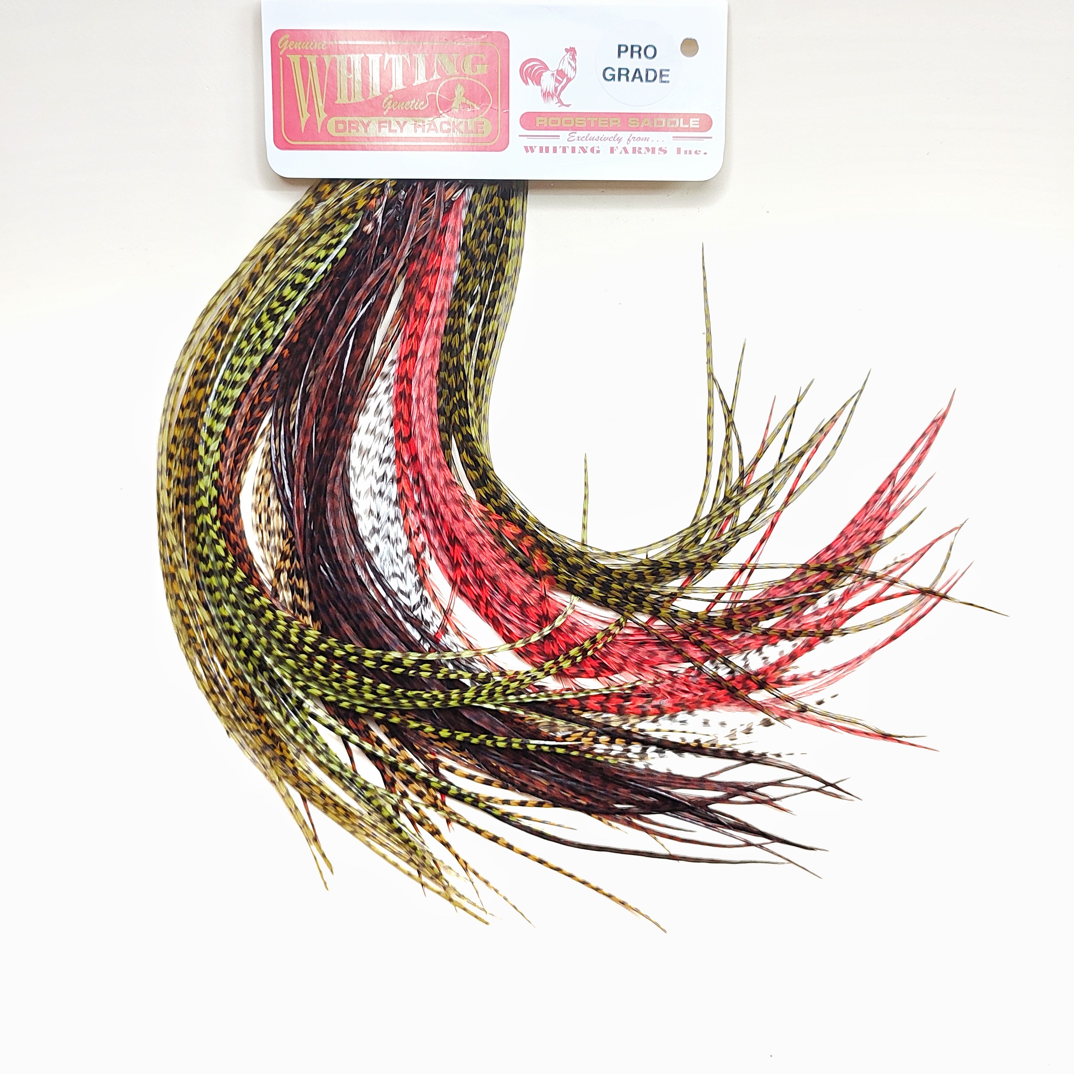Петух для вязания мушек. Перья для вязания мушек. Петух для вязания мушек. Перья гризли в волосах. Whiting перья.