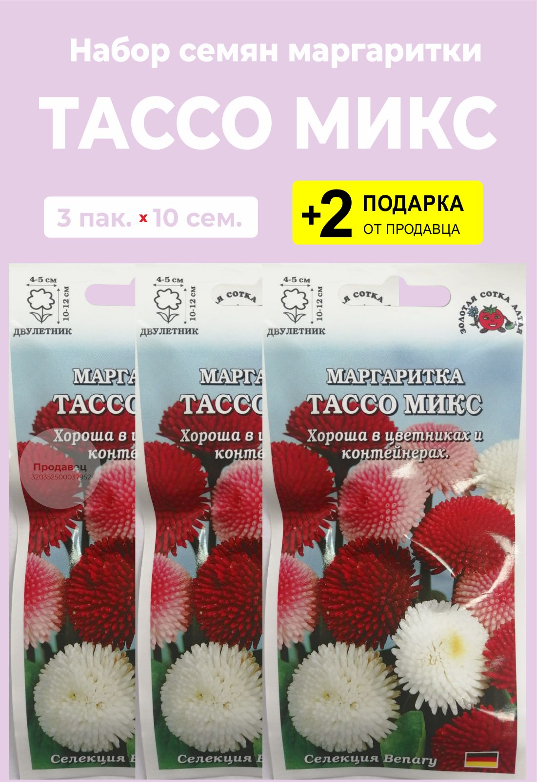 Маргаритки Семена Купить
