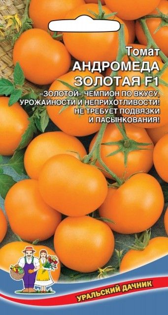 Золотая андромеда томат отзывы фото