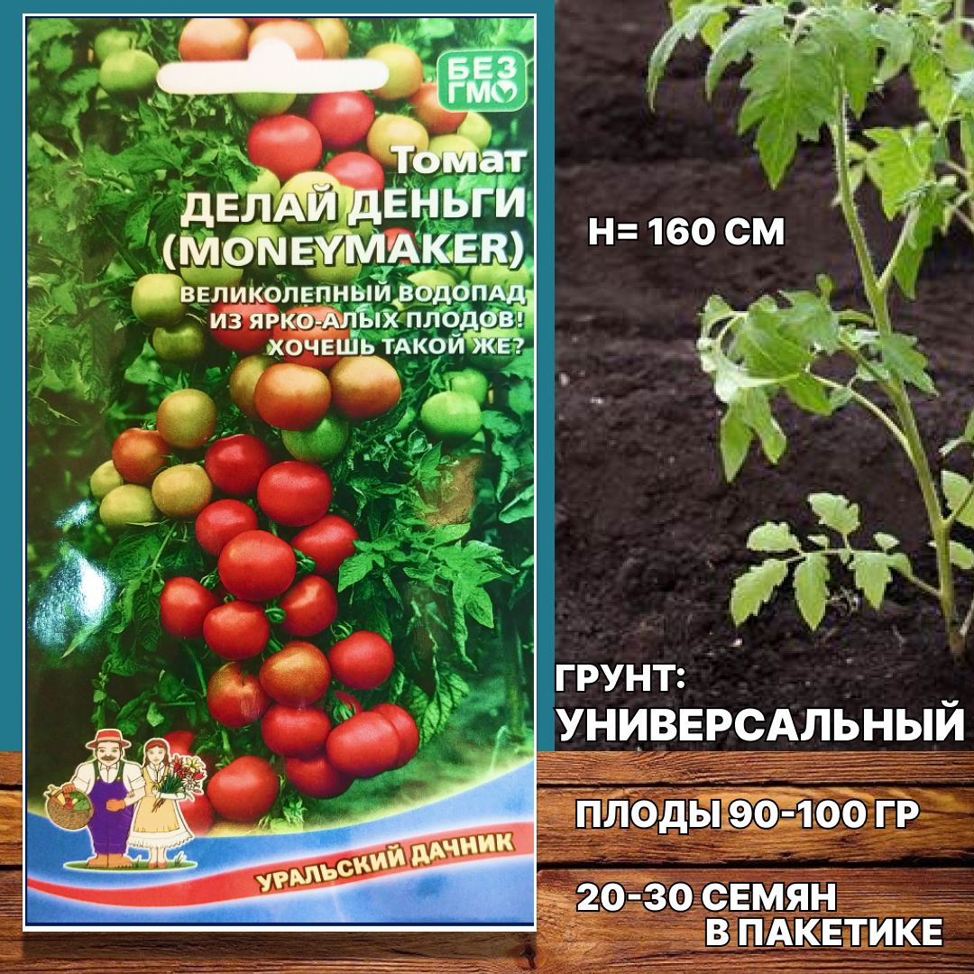 томат монетка. томат монетка аэлита. агрофирма аэлита. томат смесь три малыша. томат черри пуговка.