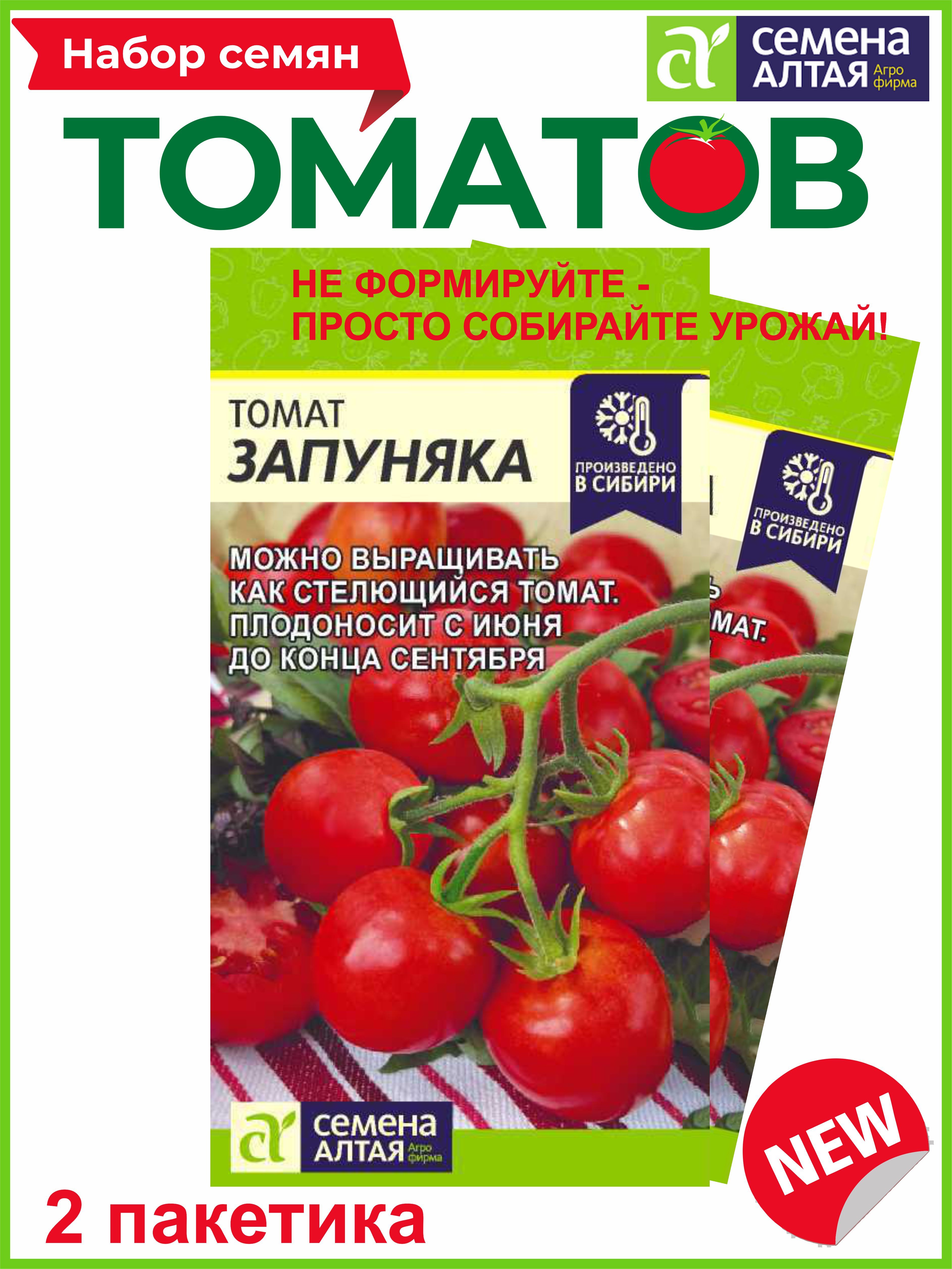 Запуняка томат описание отзывы урожайность. Помидор Запуняка семена Алтая. Озон Запуняка томат. Томат Запуняка семена Алтая фото. Запуняка томат описание.