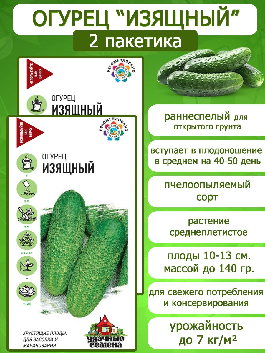 Огурец изящный. Огурец изящный отзывы. Огурец изящный описание. Огурец изящный описание сорта.