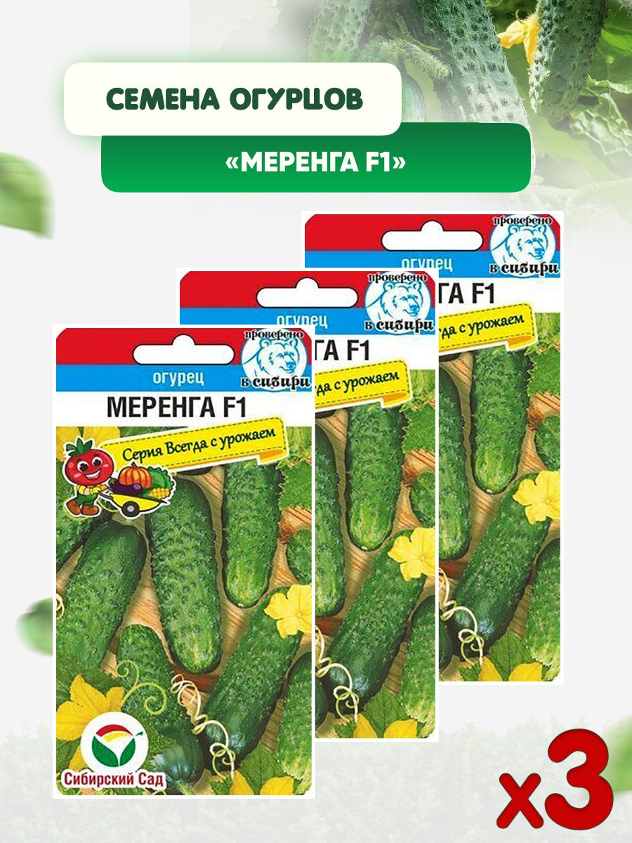 Меренга Огурцы Купить Семена