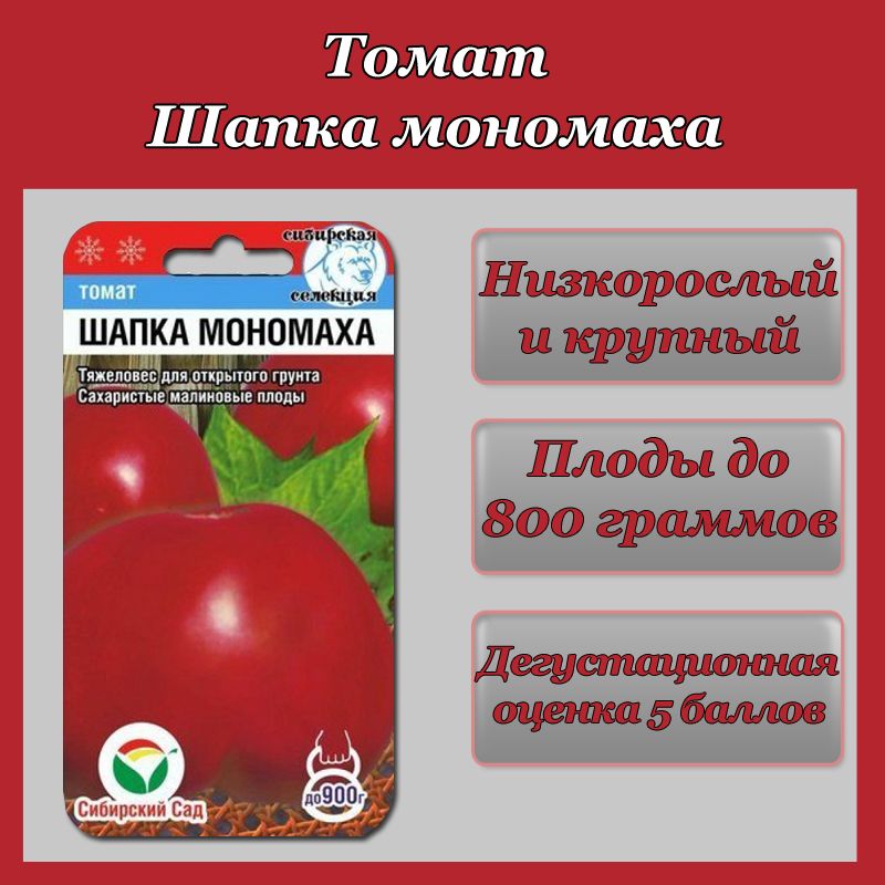 Схема посадки томата шапка мономаха