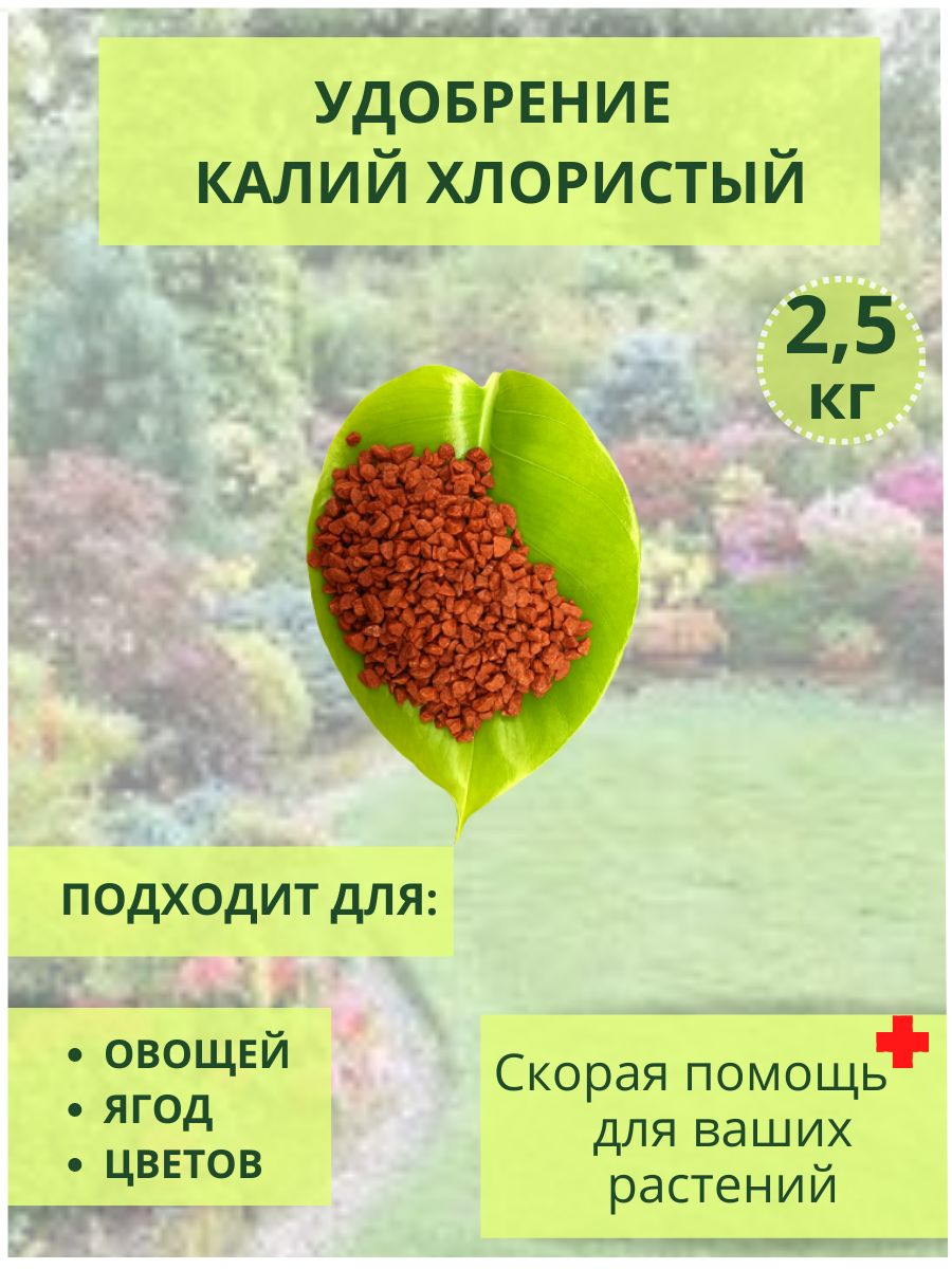 Удобрение Калий хлористый гранулированный 2,5кг - купить с доставкой по  выгодным ценам в интернет-магазине OZON (852709437)