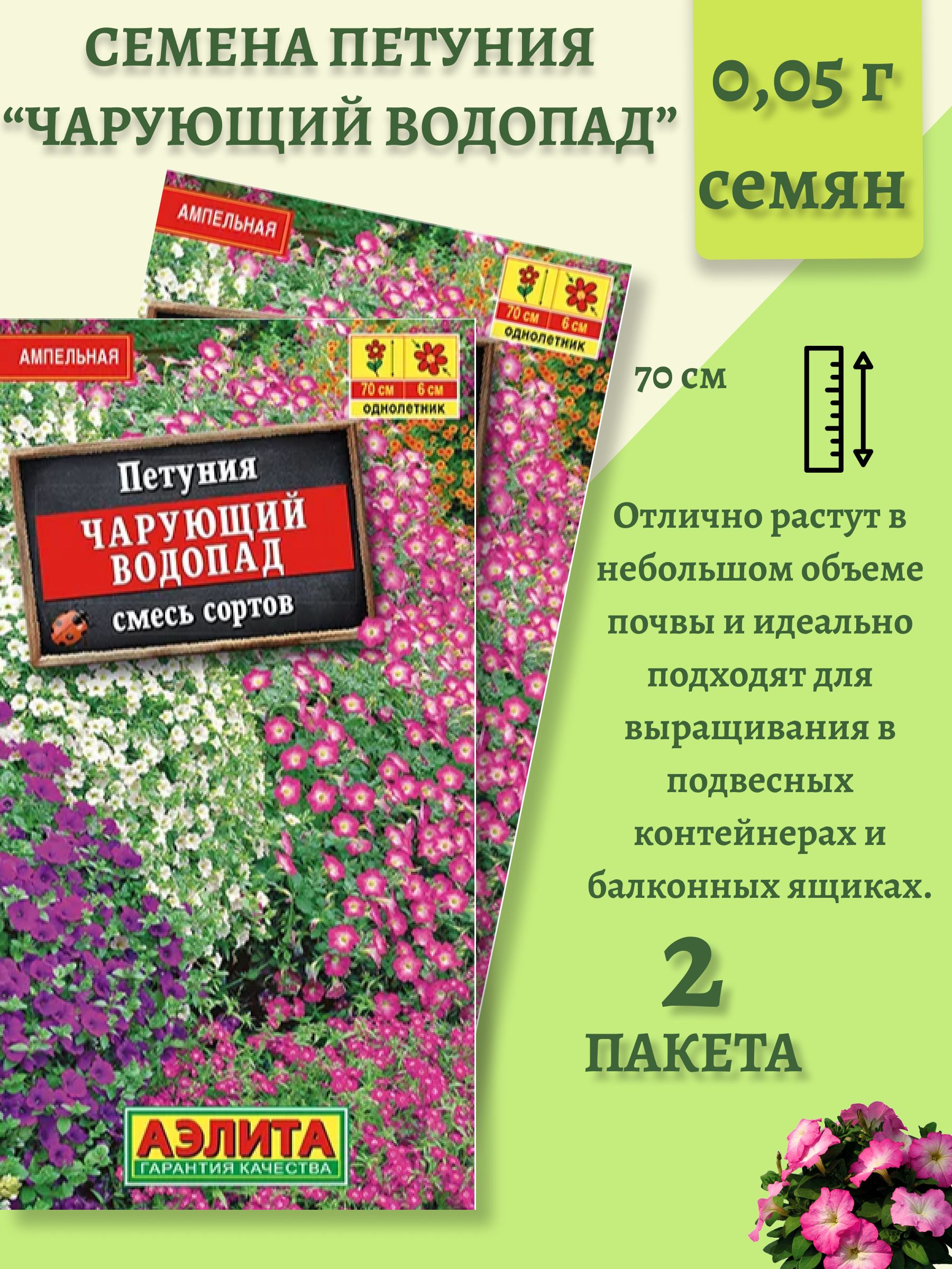 Чарующий водопад петуния ампельная. Петуньячарующий водопад. Чарующий водопад петун я.