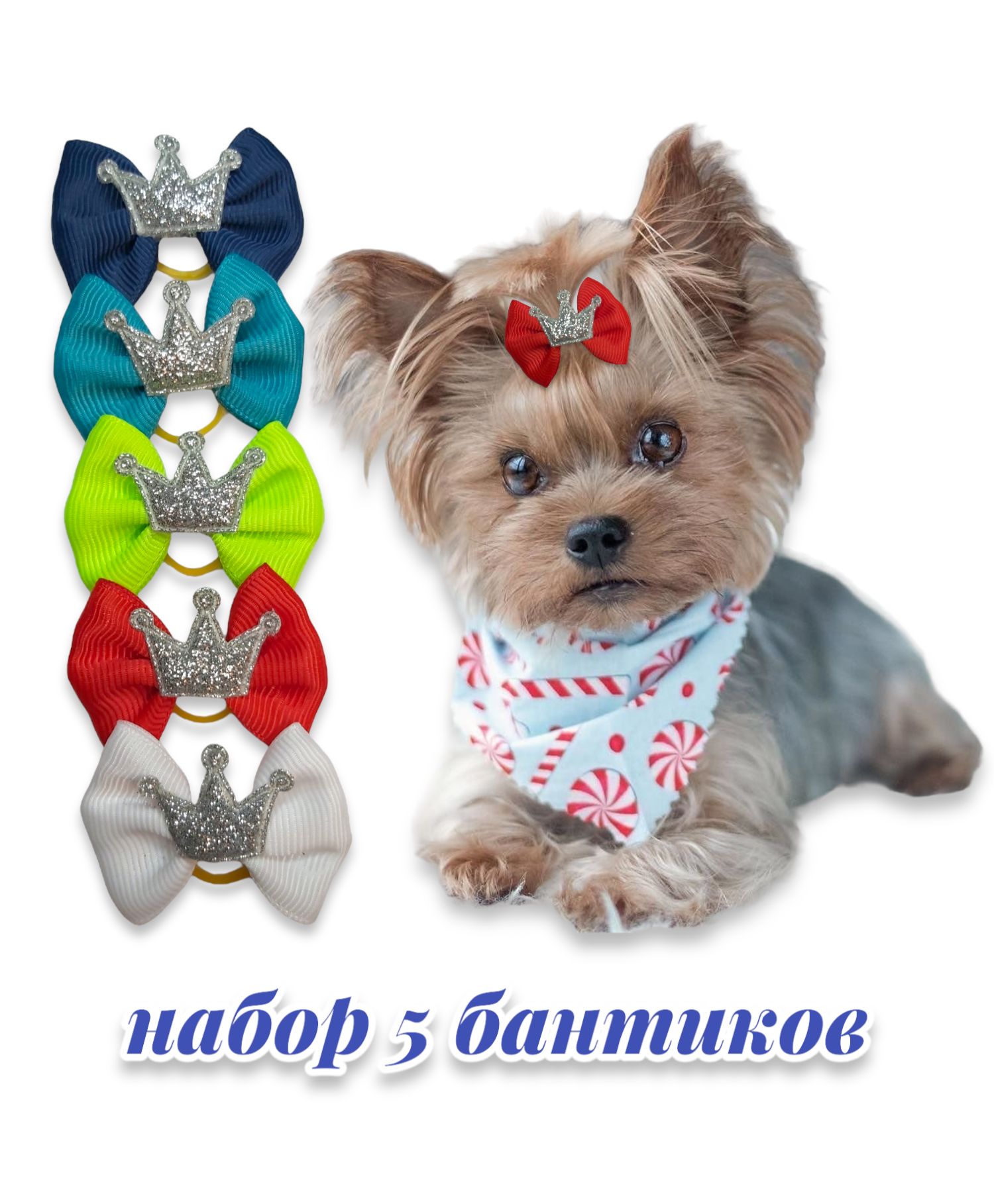 Show bows for dogs, show bows for yorkshire terriers, Show bows for dogs with cr