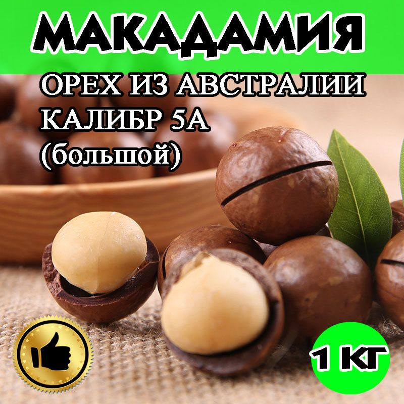 МАКАДАМИЯ, МАКАДАМИЯ ОРЕХ 1КГ, калибр 5А 1кг в скорлупе с ключом