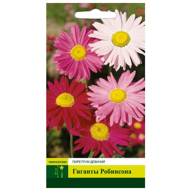 Пиретрум розовый робинсон. Пиретрум гиганты робинсона фото. Ц/пиретрум робинсон 0,2г. Пиретрум розовый робинсон. Пиретрум гиганты робинсона розовый.