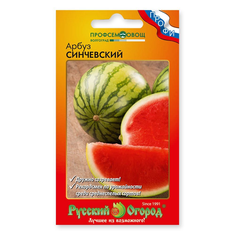 С английского на русский watermelon. Арбуз русский размер. Русские арбузы. Арбуз русский размер f1 (3шт).