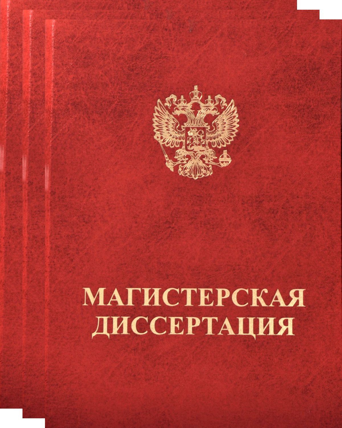 Папка для Магистерской диссертации с конвертом для CD. Переплет на ленту.  3шт - купить с доставкой по выгодным ценам в интернет-магазине OZON  (890702551)