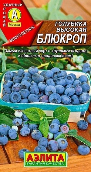 ГОЛУБИКАВЫСОКАЯБЛЮКРОП.Семена.Вес0,01гр.Сортотличаетсяобильнымплодоношениемикрупнымиягодами.