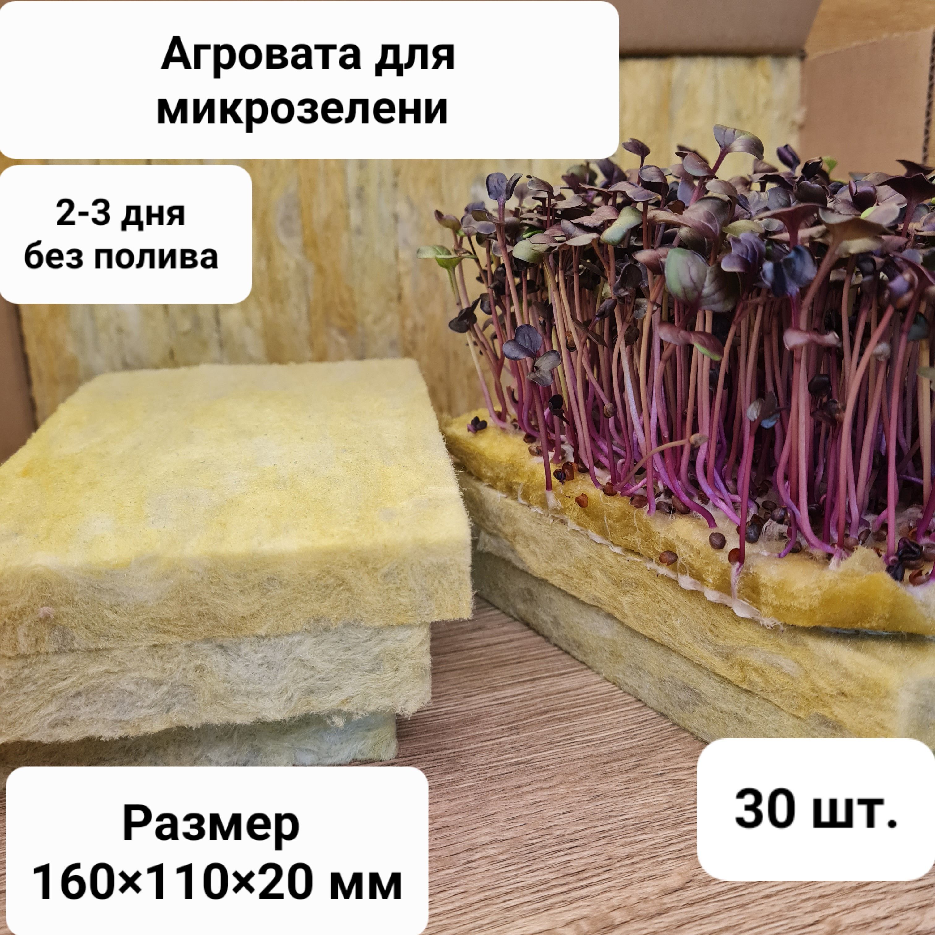 Агровата Для Микрозелени Купить В Спб Оптом