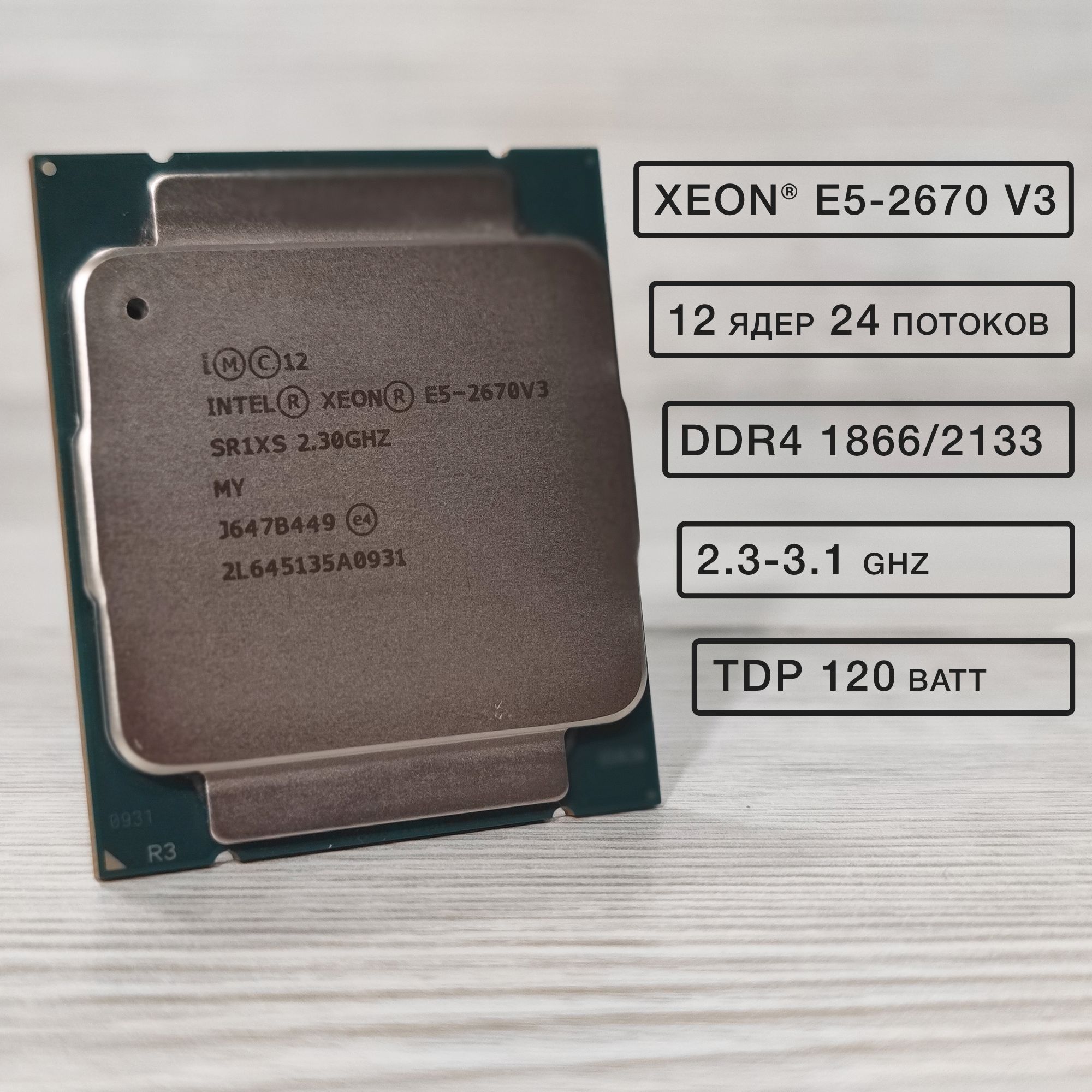 Процессор Intel Xeon, OEM (без кулера), 12 яд., 2.3 ГГц купить по низкой  цене с доставкой в интернет-магазине OZON (909324695)