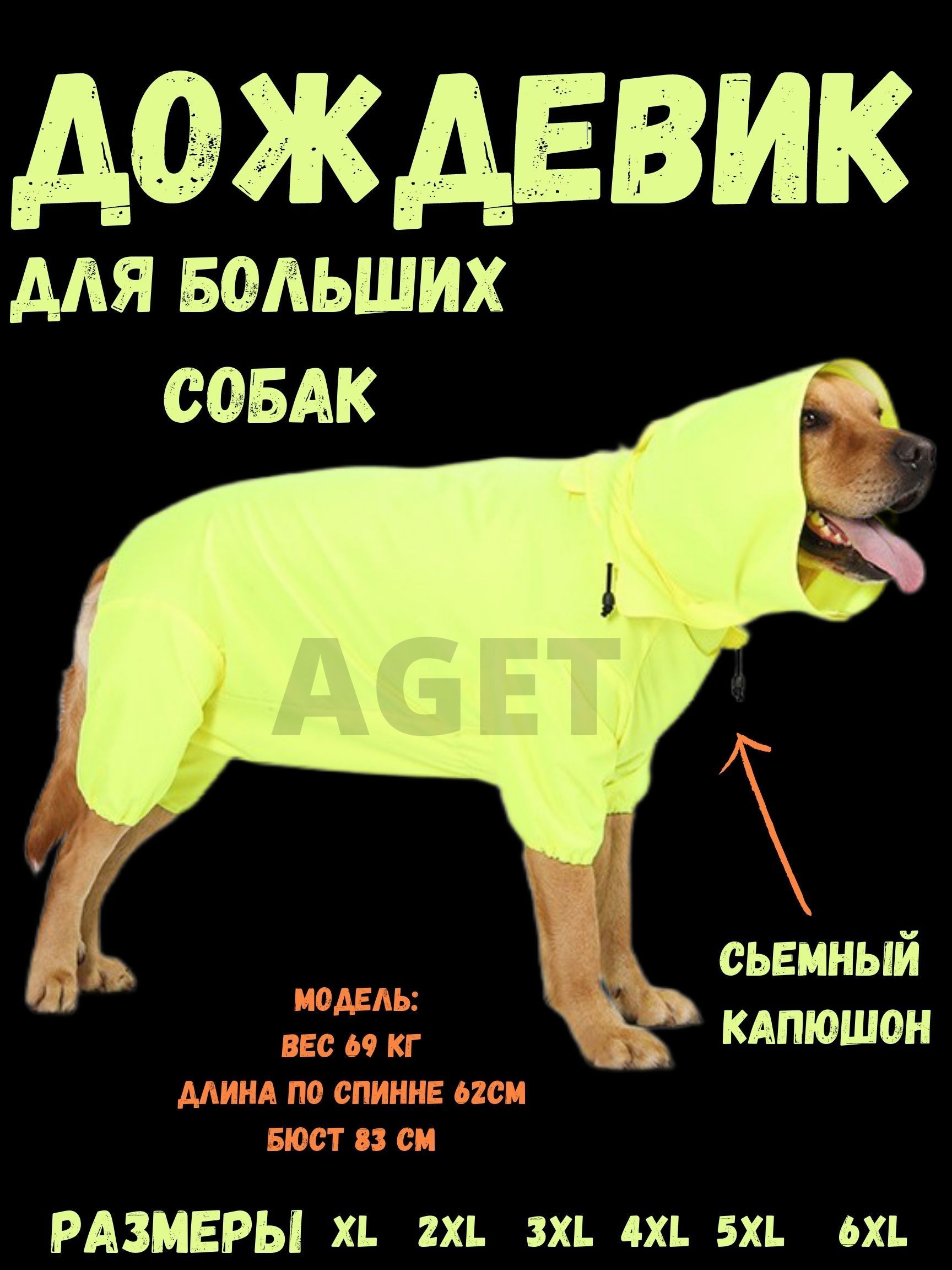 Дождевик для собаки средней породы: особенности