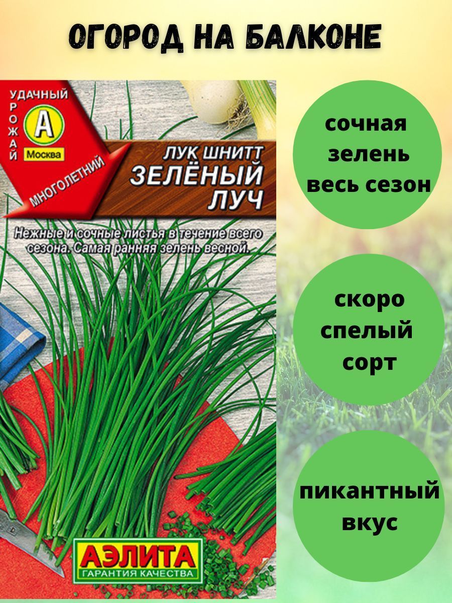 Глобал Лук Пресс Фото