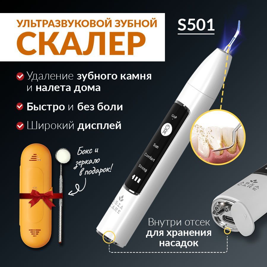 Скалер ультразвуковой электрический для удаления зубного камня AsiaCare  S501 / Ирригатор для полости рта / Отбеливание зубов - купить с доставкой  по выгодным ценам в интернет-магазине OZON (901417564)