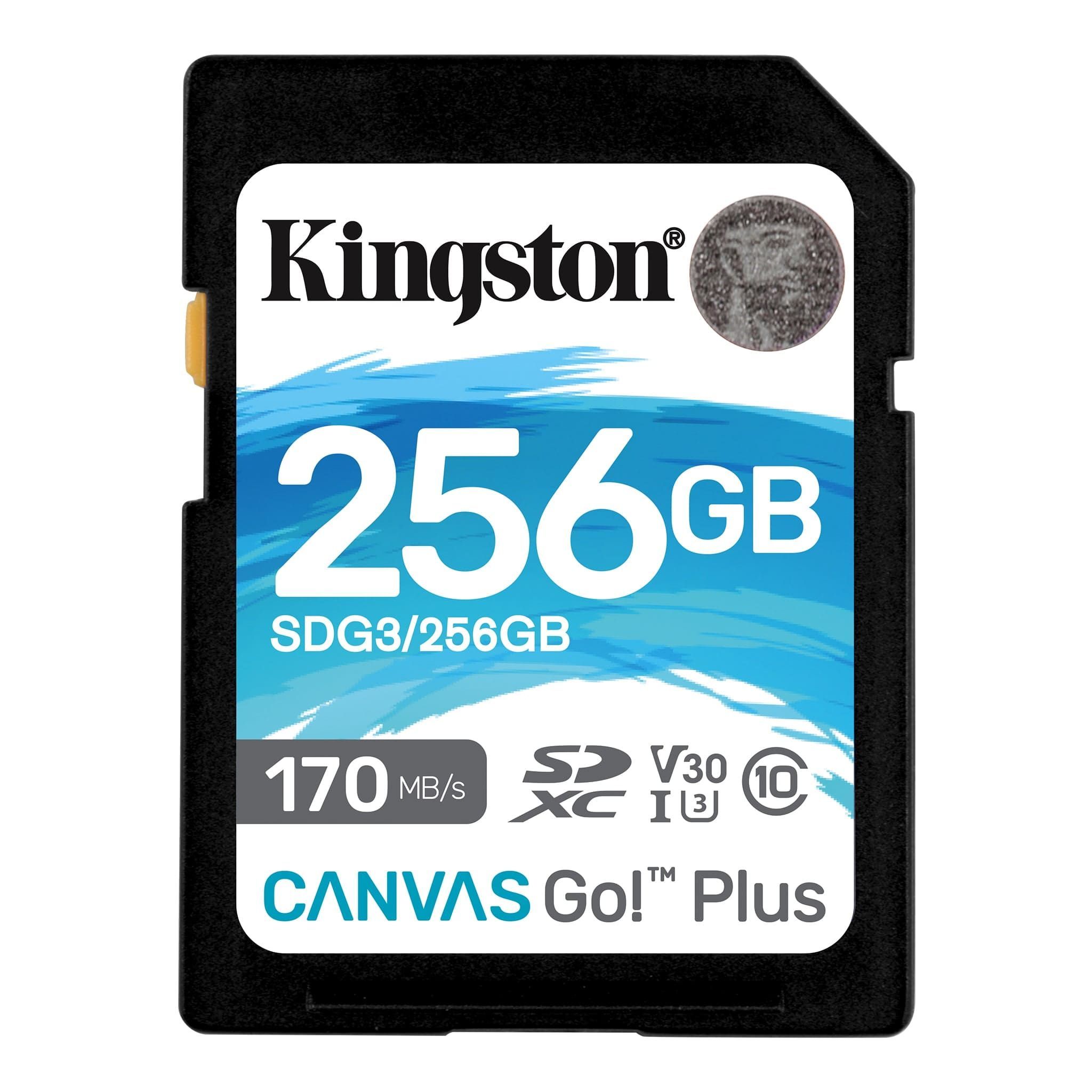 KingstonКартапамяти256ГБ(SDG3/256GB)