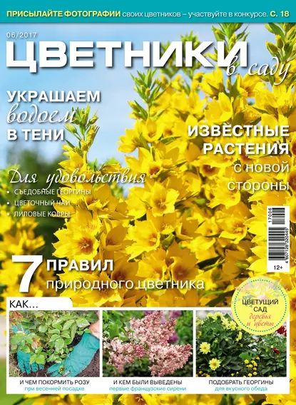 Цветники в саду No06/2017 | Электронная книга