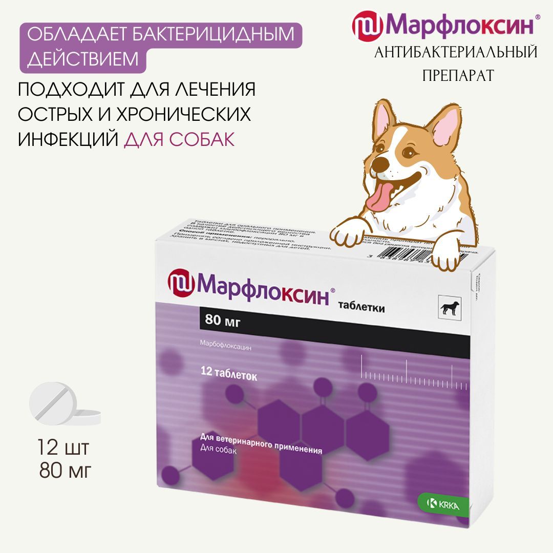 Марфлоксин для кошек