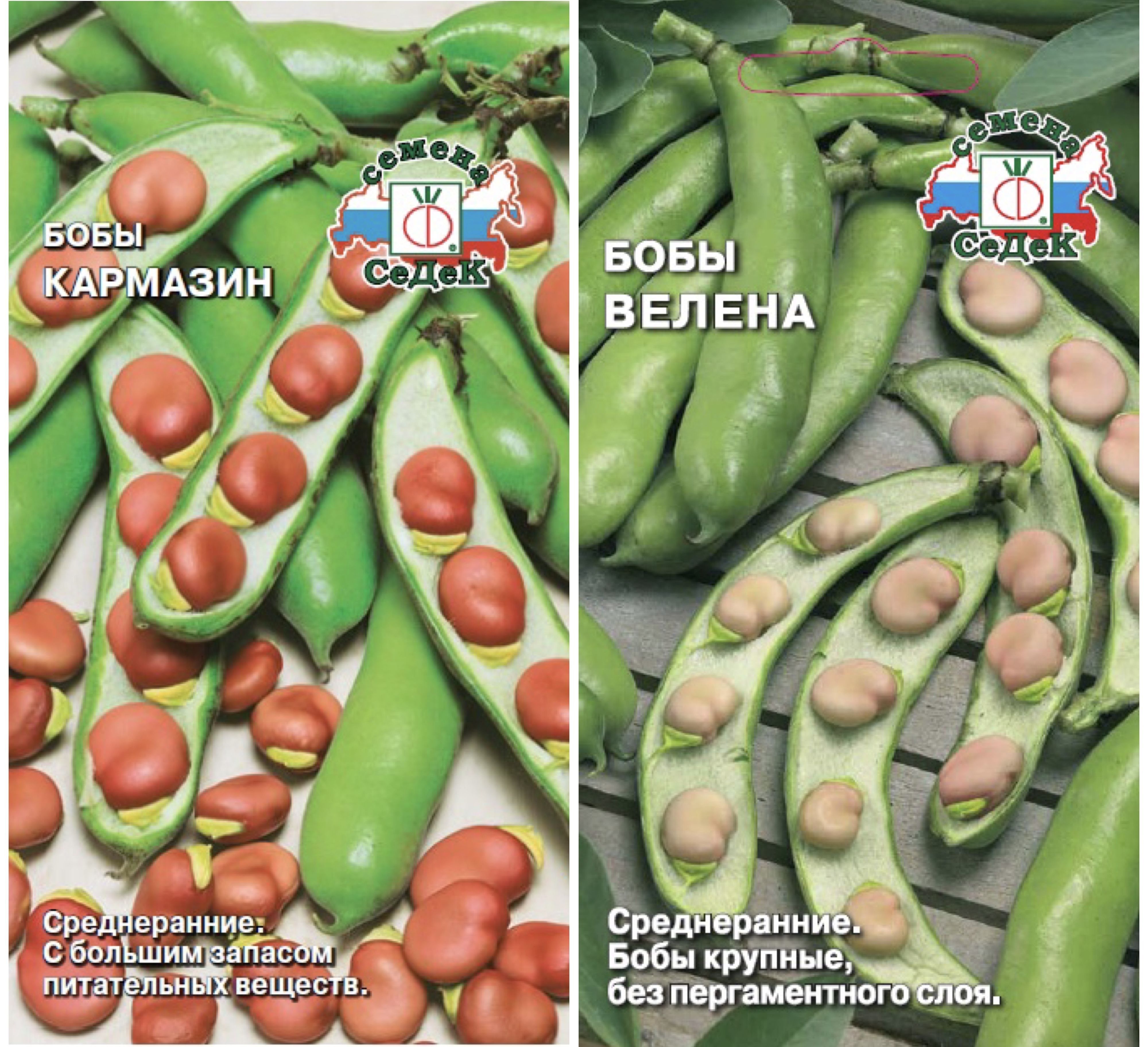 Купить Семена Бобов Овощных