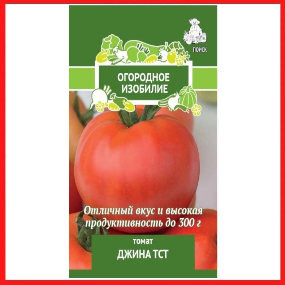 Томат алая Каравелла. Джина помидоры описание. Помидоры Джина фото. Джина помидоры описание фото.