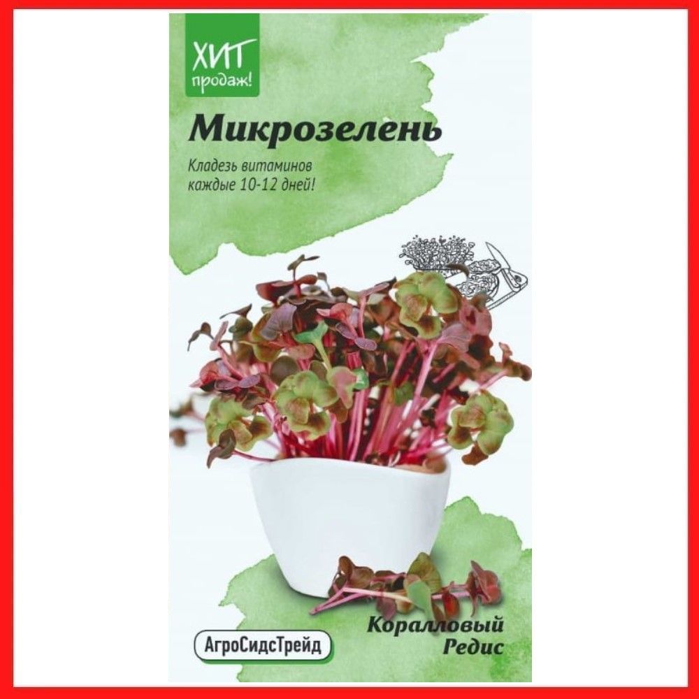 Агросидстрейд. Микрозелень коралловый редис. Семена микрозелень «коралловый редис». Микрозелень базилик черный дракон. Агросидстрейд семена.