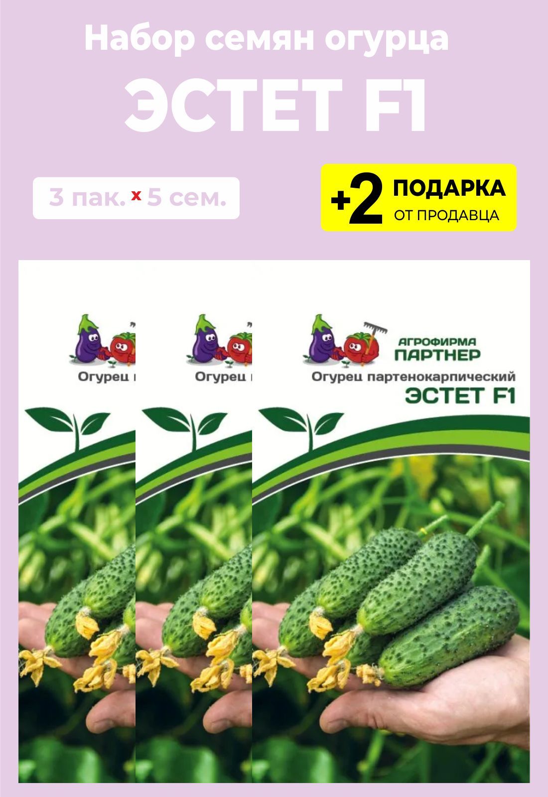 Огурцы Эстет Отзывы Фото