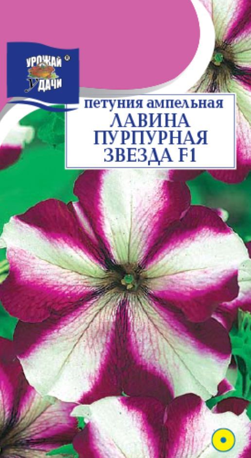 Петуния ампельная лавина пурпурная. Петуния лавина красная звезда. Петуния лавина (урожай удачи) пурпурная. Лавина пурпурная звезда.