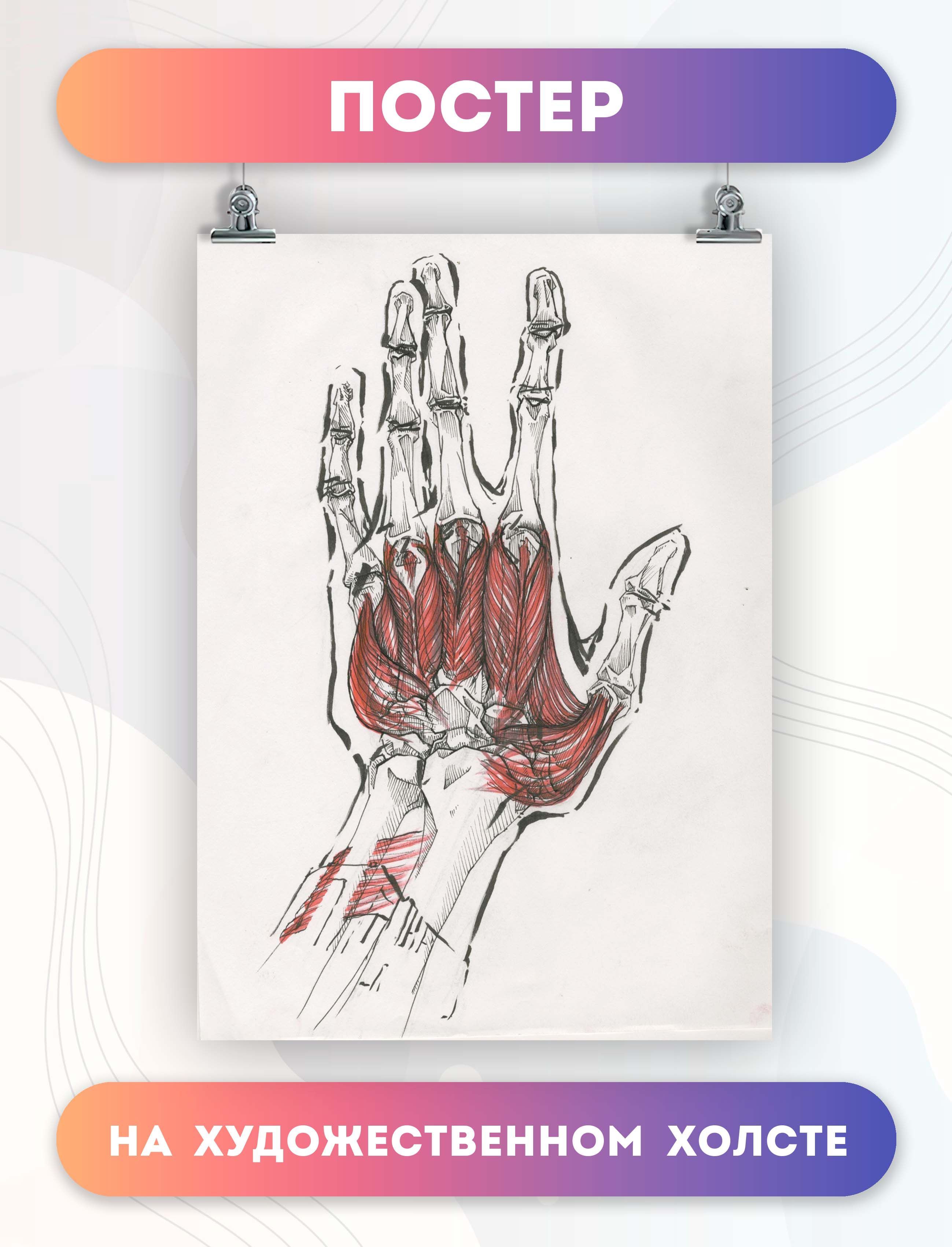 бионические протезы. биологическая рука. биологическая рука. биологическая рука. современные протезы.