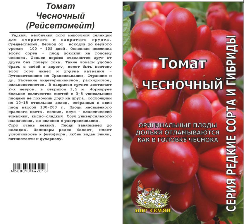 Томаты чесночные описание и отзывы. Томат чесночный. Томат чесночный семена. Томат Рейсетомейт. Томаты с чесноком.