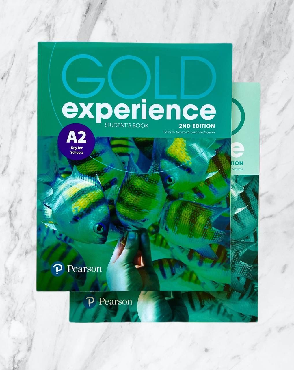 Gold Experience Second Edition A2 Учебник, рабочая тетрадь, код. - купить с  доставкой по выгодным ценам в интернет-магазине OZON (1146585072)