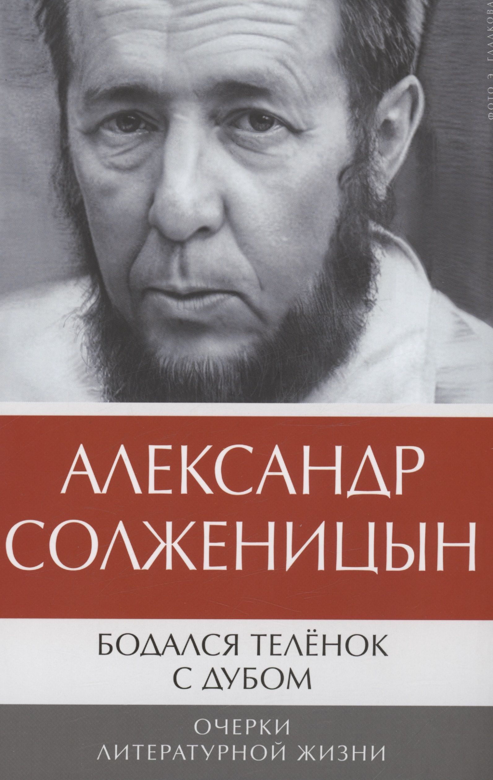 Книга бодался теленок с дубом. Бодался теленок с дубом. Бодался теленок с дубом фото. Литературный очерк это. Кто писал очерки.