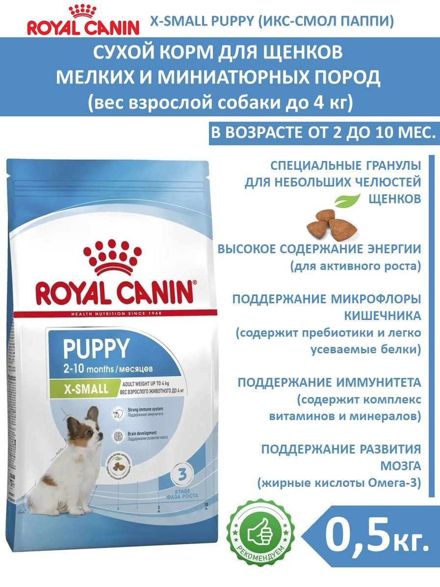 Корм для миниатюрных пород собак роял канин. Роял канин для щенков x small 10. Royal canin x small 500г. Корм для собак роял канин x small. Икс смол.